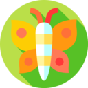 animals,bug,insect,entomology,butterfly