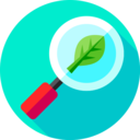 ecology and environment,magnifying glass,nature,search,Tools and utensils,loupe,zoom,leaf ok 