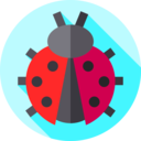 animals,bug,protection,animal,insect,problem