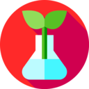 ecology and environment,education,flask,chemistry,bottle,plant,biology,leaf,sprout ok 