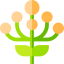 Flowers icon 64x64