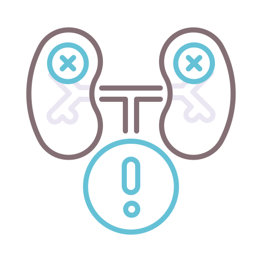 Kidney