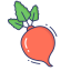 Vegetables icon 64x64