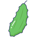 food,vegetable,vegan,healthy food,food and restaurant,organic,bitter,gourd