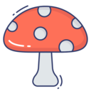 food,vegetable,vegan,healthy food,food and restaurant,diet,mushroom,Fungi ok 
