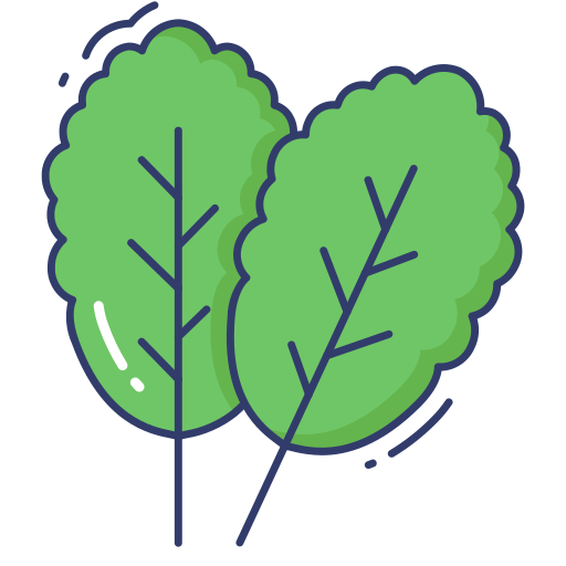 Spinach