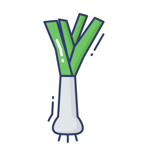Leek
