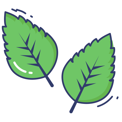 Kale