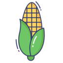 food,vegetable,vegan,healthy food,food and restaurant,diet,cereal,corn ok 