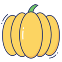 food,vegetable,vegan,healthy food,food and restaurant,diet,fruit,pumpkin