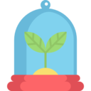 ecology and environment,nature,plant,leaf,ecological,gardening,garden,plants,ecologism ok 