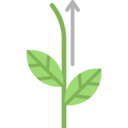 ecology,nature,plant,botanical,farming and gardening,sprout,gardening,garden,yard