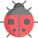 animals,bug,animal kingdom,insect,ladybug