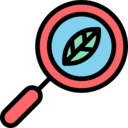 ecology and environment,magnifying glass,search,Tools and utensils,loupe,detective,zoom ok 
