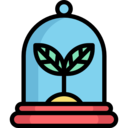 ecology and environment,nature,plant,leaf,ecological,gardening,garden,plants,ecologism ok 