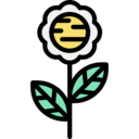 nature,botanical,flower,blossom,petals ok 