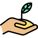 ecology and environment,nature,tree,sprout,gardening,growing seed