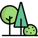 landscape,nature,trees,woods,forest,pines
