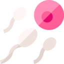 kid and baby,pregnancy,reproduction,sperm,fertilization,ovum,spermatozoon