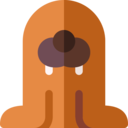 animals,wildlife,animal,zoology,walrus
