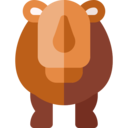animals,wildlife,animal,zoology,rhinoceros ok 