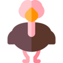 animals,wildlife,animal,zoology,ostrich