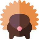 animals,wildlife,animal,zoology,porcupine ok 