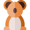 animals,wildlife,animal,zoology,koala