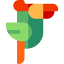 animals,wildlife,bird,animal,zoology,parrot