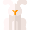 animals,wildlife,animal,zoology,Hare ok 
