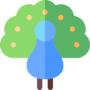 animals,wildlife,bird,animal,zoology,peacock