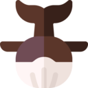 animals,mammal,wildlife,sea life,animal,zoology,whale ok 