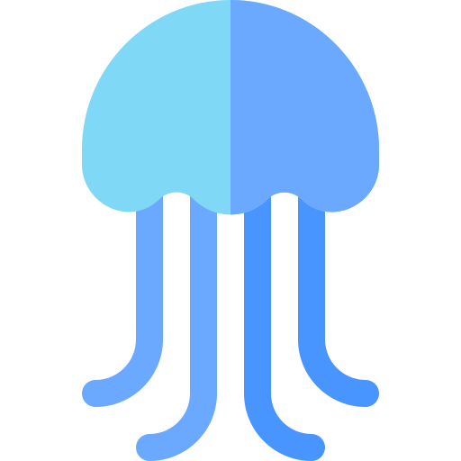 Jellyfish