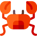 animals,wildlife,sea life,animal,zoology,crab ok 