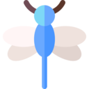 animals,wildlife,animal,insect,zoology,dragonfly