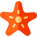 animals,wildlife,sea life,animal,zoology,sea,starfish