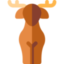 animals,wildlife,animal,zoology,deer ok 