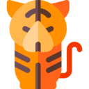 animals,wildlife,feline,animal,zoology,tiger ok 