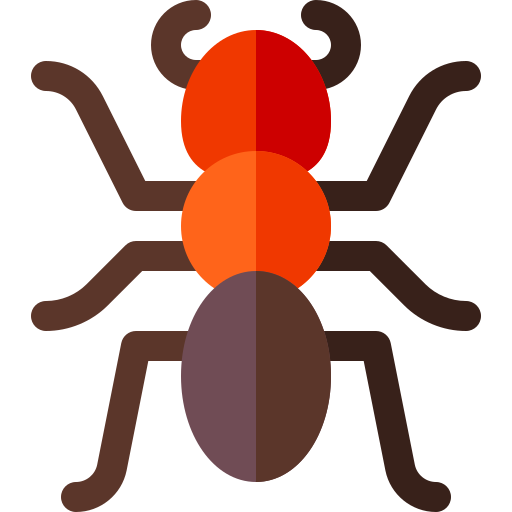 Ant