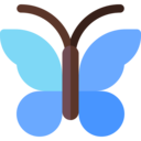 animals,wildlife,animal,insect,zoology,entomology,butterfly,holly blue butterfly