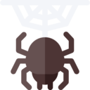animals,spider,insect,arachnid,spiderweb
