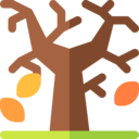 weather,nature,tree,leaves,autumn,fall,dry leaf,foliage