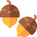 food and restaurant,nature,forest,acorn,nut,autumn,fall,chestnut,oak