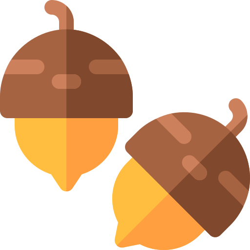 Acorn