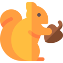 animals,mammal,wildlife,Rodent,squirrel