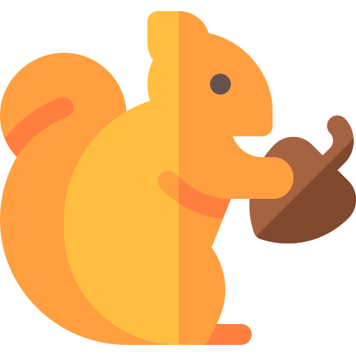 Squirrel