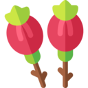 vegan,healthy food,food and restaurant,organic,diet,vegetarian,fruit,rosehip