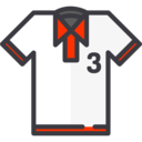 clothing,fashion,polo,man,men,masculine,shirts