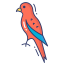 Favicon