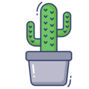 pot,farming and gardening,cactus,desert ok 